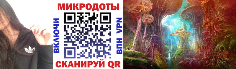 Псилоцибиновые грибы Psilocybe  Киреевск 
